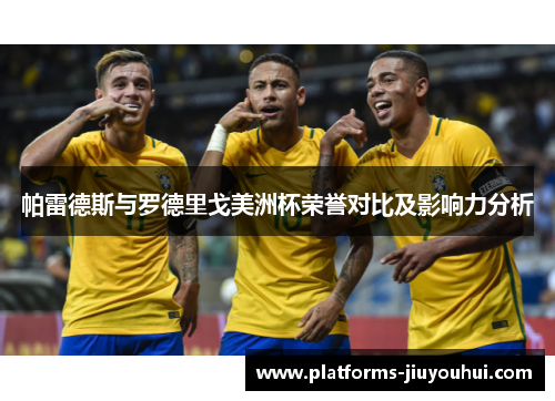 帕雷德斯与罗德里戈美洲杯荣誉对比及影响力分析