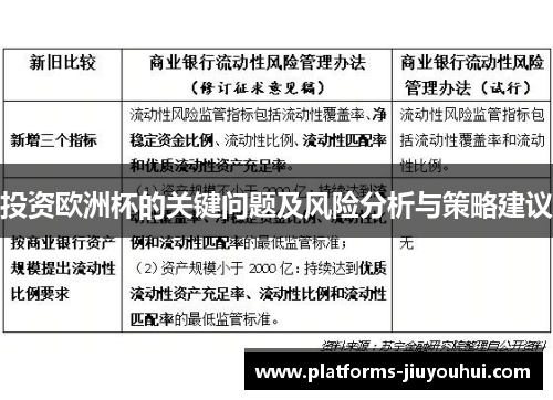 投资欧洲杯的关键问题及风险分析与策略建议