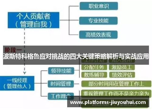 波斯特科格鲁应对挑战的四大关键策略解析与实战应用