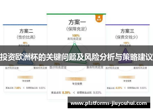投资欧洲杯的关键问题及风险分析与策略建议 投资欧洲杯的关键问题及风险分析与策略建议