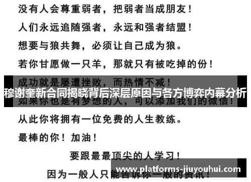 穆谢奎新合同揭晓背后深层原因与各方博弈内幕分析